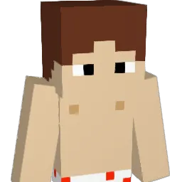THEHO333 Minecraft avatar bust