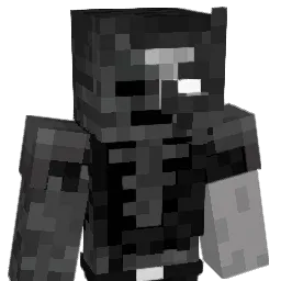 THEREALMINOR_'s Minecraft skin