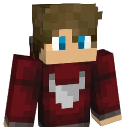THE_RED_BULLS Minecraft avatar bust