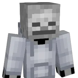 THISGUY14 Minecraft avatar bust