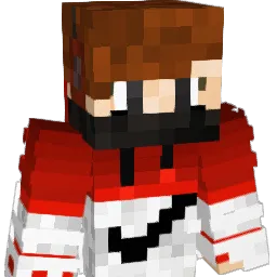 TIGROTTO11 Minecraft avatar bust
