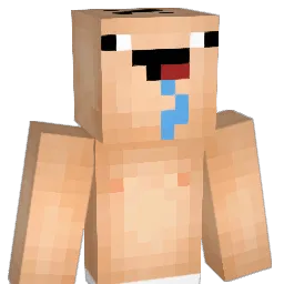 TIMTIMMM Minecraft avatar bust
