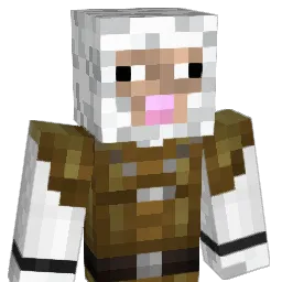 TJ285 Minecraft avatar bust