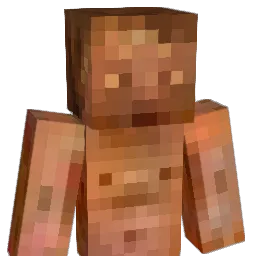 TJCHDS Minecraft avatar bust