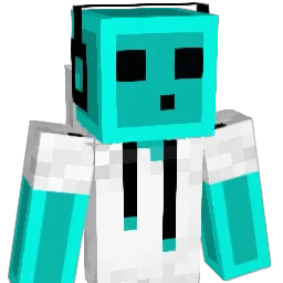 TJDJ208 Minecraft avatar bust