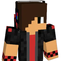 TJSNN Minecraft avatar bust