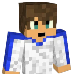TKObringer01 Minecraft avatar bust
