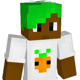 TLANDER Minecraft avatar bust
