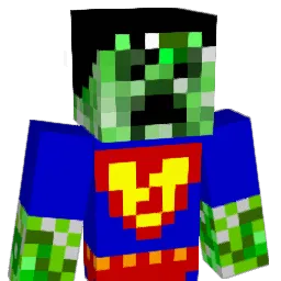TLC1317 Minecraft avatar bust