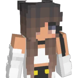 TMG1208 Minecraft avatar bust