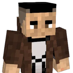 TML11 Minecraft avatar bust