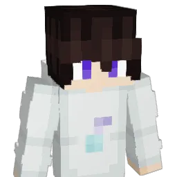 TMP9390's Minecraft skin