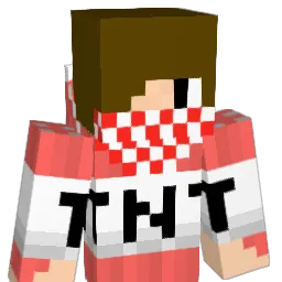 TNTGuy1000 Minecraft avatar bust