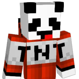 TNT_Pandaz Minecraft avatar bust