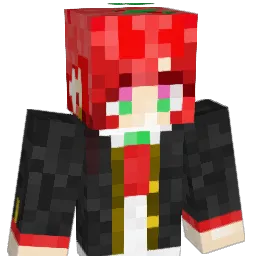 TOMATO0626 Minecraft avatar bust