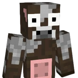 TOMSON221 Minecraft avatar bust