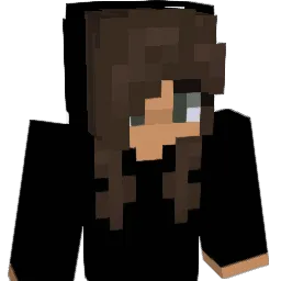 TOPERS228 Minecraft avatar bust