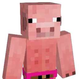 TSM_RAJ7282 Minecraft avatar bust