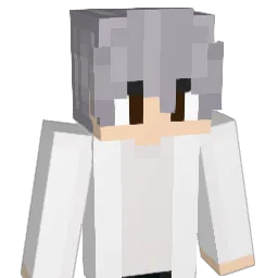 TSW_Sanka Minecraft avatar bust