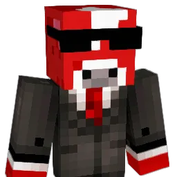 TShanks11 Minecraft avatar bust