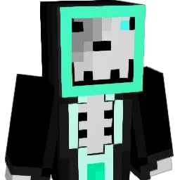 TTVJimmyPlais___ Minecraft avatar bust