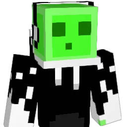 TVHOPA1806 Minecraft avatar bust
