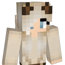 TVN3 Minecraft avatar bust