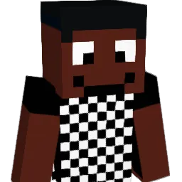 TX24Z Minecraft avatar bust