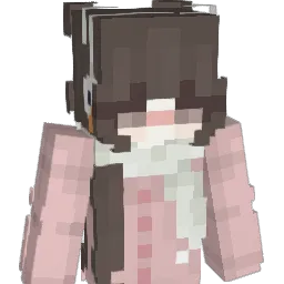 TX_CN Minecraft avatar bust
