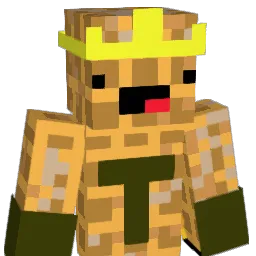 TY1515's Minecraft skin