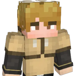 T_BAG2