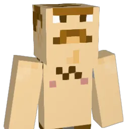 T_E_X_A_S Minecraft avatar bust