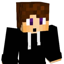 T_FR's Minecraft skin