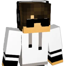 T_SON18 Minecraft avatar bust