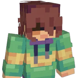 T_T1253 Minecraft avatar bust