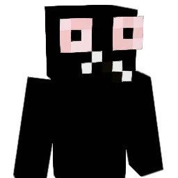 T_Tf Minecraft avatar bust