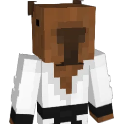 T_moi Minecraft avatar bust