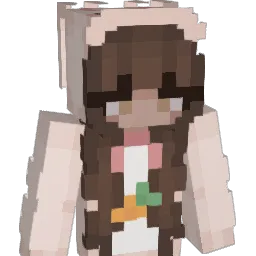 Tacohoe Minecraft avatar bust