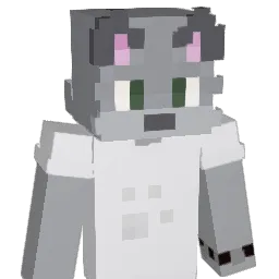 Tacticxss Minecraft avatar bust