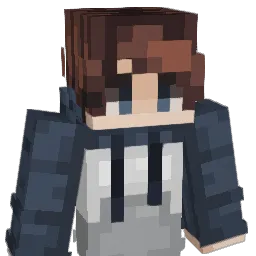 Tadashi65 Minecraft avatar bust