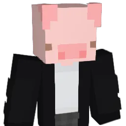 Taichipig