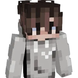 Tajjg's Minecraft skin