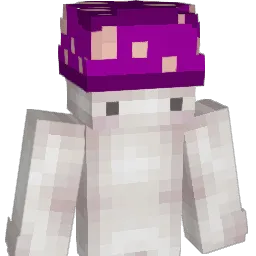 TakenSlayer8 Minecraft avatar bust