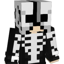 TankeRPZ Minecraft avatar bust