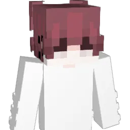 Tanuki4007 Minecraft avatar bust