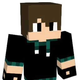 TapetenBaer Minecraft avatar bust