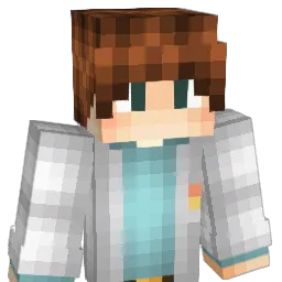Tapo4k_1 Minecraft avatar bust
