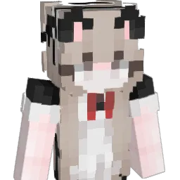 Tappns Minecraft avatar bust