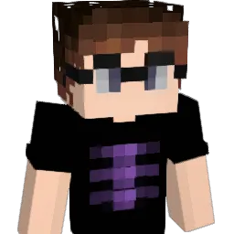 Tardiss Minecraft avatar bust