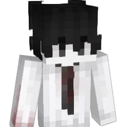 Tawin1309 Minecraft avatar bust